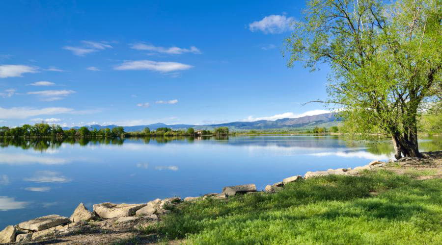 Onze autoverhuurservices bieden een gevarieerde selectie van voertuigen in Fort Collins.